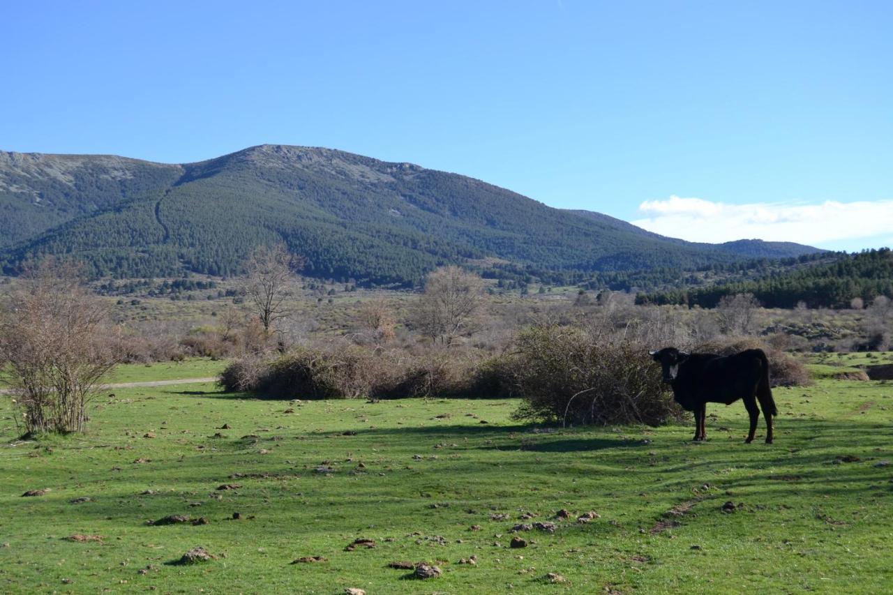 La Portada De Abajo Villa Gallegos Dış mekan fotoğraf