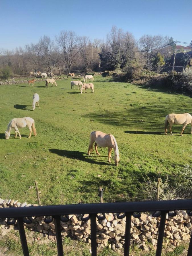 La Portada De Abajo Villa Gallegos Dış mekan fotoğraf